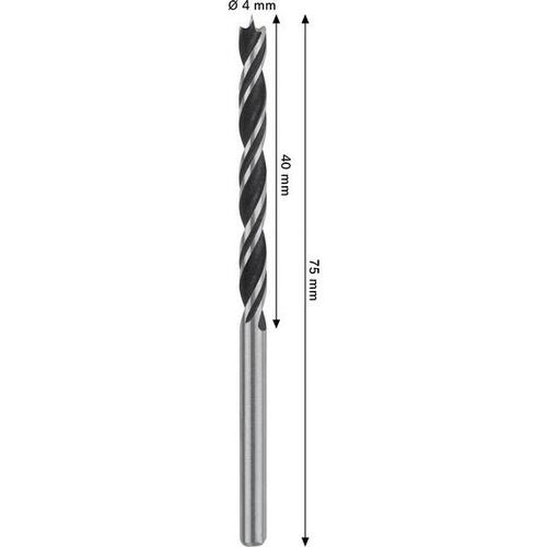 Puuporanterä Bosch PRO; HSS; 4x43x75 mm