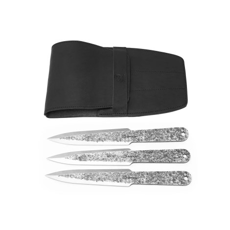 Veitsien sarja BeaverCraft TK Set1; 258 mm; kotelolla