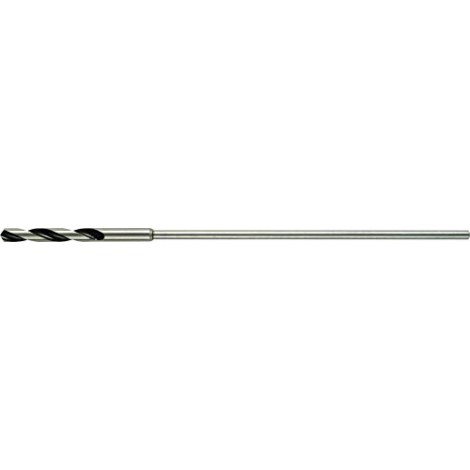 Puuporanterä DeWalt DT4873-QZ; 12x600 mm