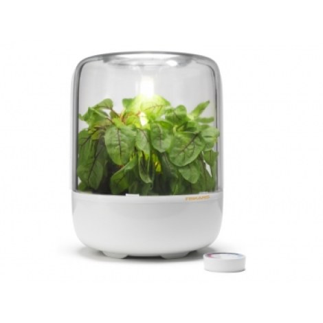 Yrttipuutarha Fiskars Premium