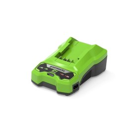 Laturi Greenworks G24C; 24 V
