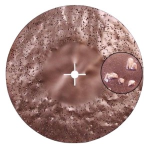 Hiomalaikka Raimondi 27445W36; 450 mm