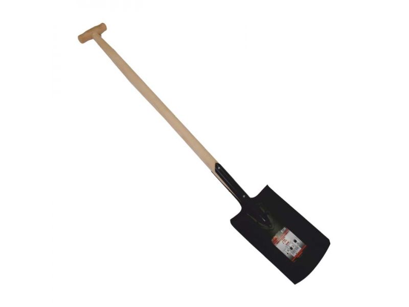 Lapio Richmann C0911