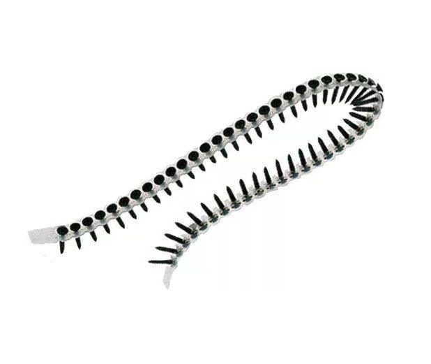 Nauharuuvit DeWalt DWF4000550; 3,5x55 mm; 1000 kpl.