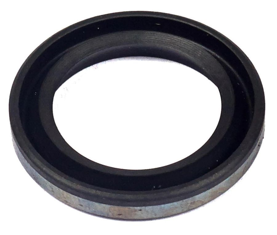 Öljytiiviste Briggs&Stratton 299819S