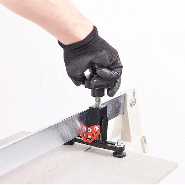 Puristin Raimondi 254RAIPRAS